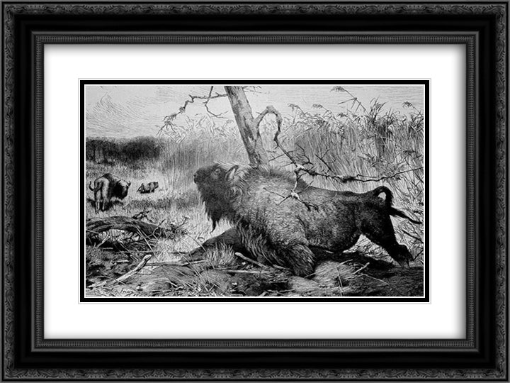 The Garden Arbor 24x18 Black Ornate Wood Framed Art Print Poster with Double Matting by Friese, Richard
