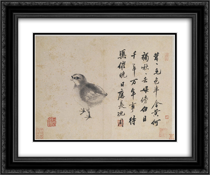 Quail (Sketches from Life) 24x20 Black Ornate Wood Framed Art Print Poster with Double Matting by Zhou, Shen
