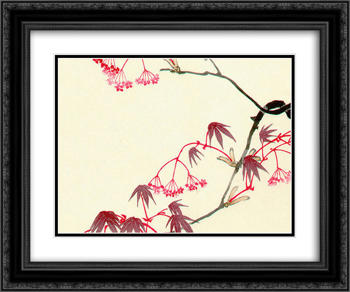 Red Maple - Hana Kurabe 24x20 Black Ornate Wood Framed Art Print Poster with Double Matting by Zeshin, Shibata