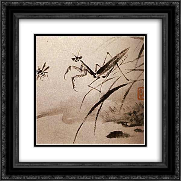 Studies of insects, Mante 20x20 Black Ornate Wood Framed Art Print Poster with Double Matting by Shitao