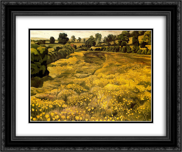 Buttercups in a Meadow 24x20 Black Ornate Wood Framed Art Print Poster with Double Matting by Spencer, Stanley
