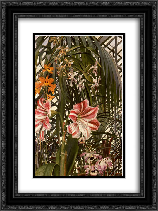 Orchids, Lilies, Palms 18x24 Black Ornate Wood Framed Art Print Poster with Double Matting by Spencer, Stanley
