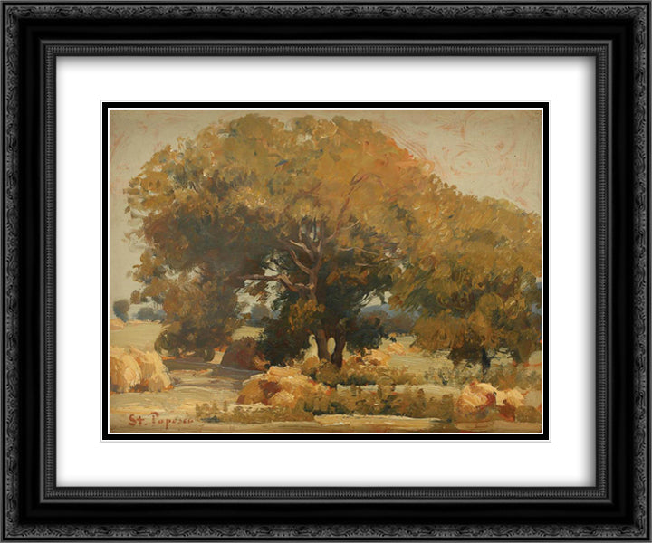 At the Shadow of Walnut Trees 24x20 Black Ornate Wood Framed Art Print Poster with Double Matting by Popescu, Stefan