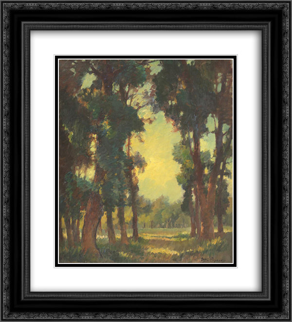 Forest Vista 20x22 Black Ornate Wood Framed Art Print Poster with Double Matting by Popescu, Stefan