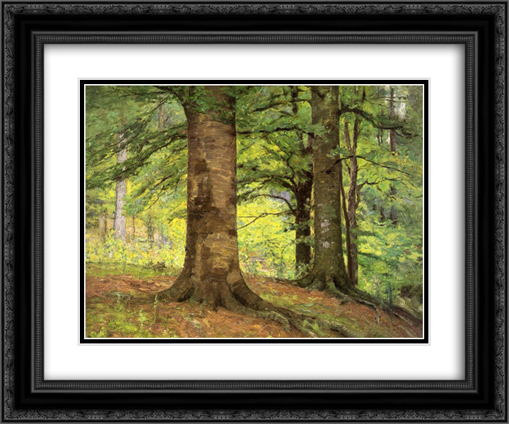 Beech Trees 24x20 Black Ornate Wood Framed Art Print Poster with Double Matting by Steele, T. C.