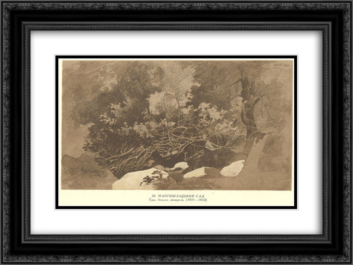 Mangyshlak garden 24x18 Black Ornate Wood Framed Art Print Poster with Double Matting by Shevchenko, Taras
