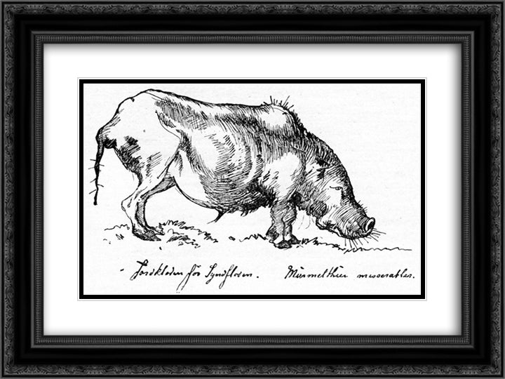 Jordkloden 24x18 Black Ornate Wood Framed Art Print Poster with Double Matting by Kittelsen, Theodor Severin