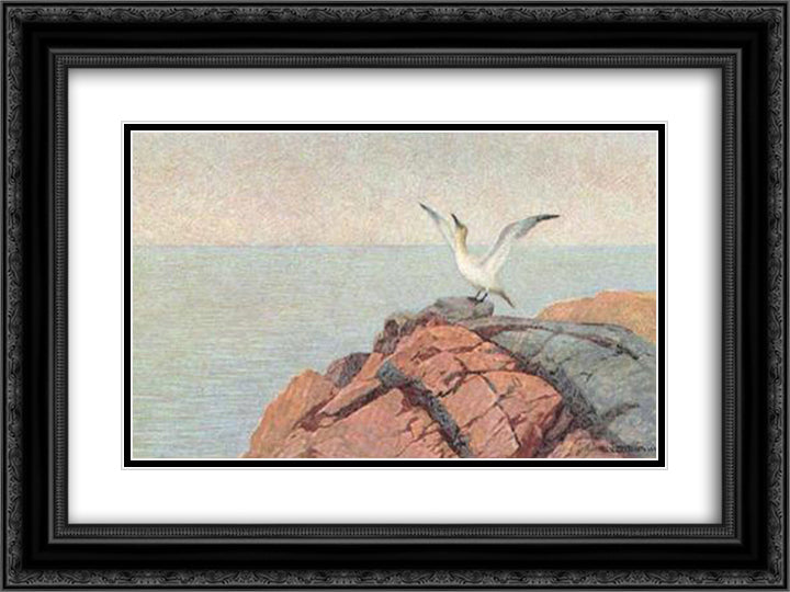 Northern Gannet 24x18 Black Ornate Wood Framed Art Print Poster with Double Matting by Kittelsen, Theodor Severin