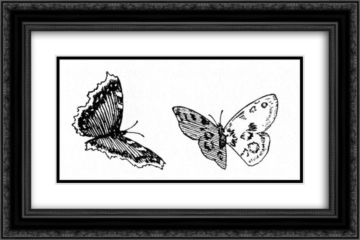 Sommerfugler 24x16 Black Ornate Wood Framed Art Print Poster with Double Matting by Kittelsen, Theodor Severin