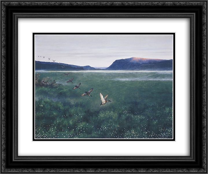 The 12 wild ducks 12 villender 24x20 Black Ornate Wood Framed Art Print Poster with Double Matting by Kittelsen, Theodor Severin