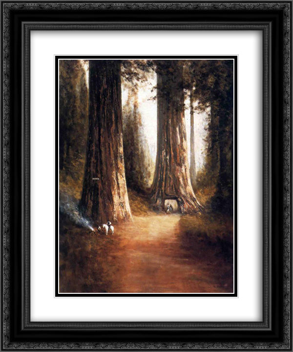 Sequoia Gigantea 20x24 Black Ornate Wood Framed Art Print Poster with Double Matting by Hill, Thomas