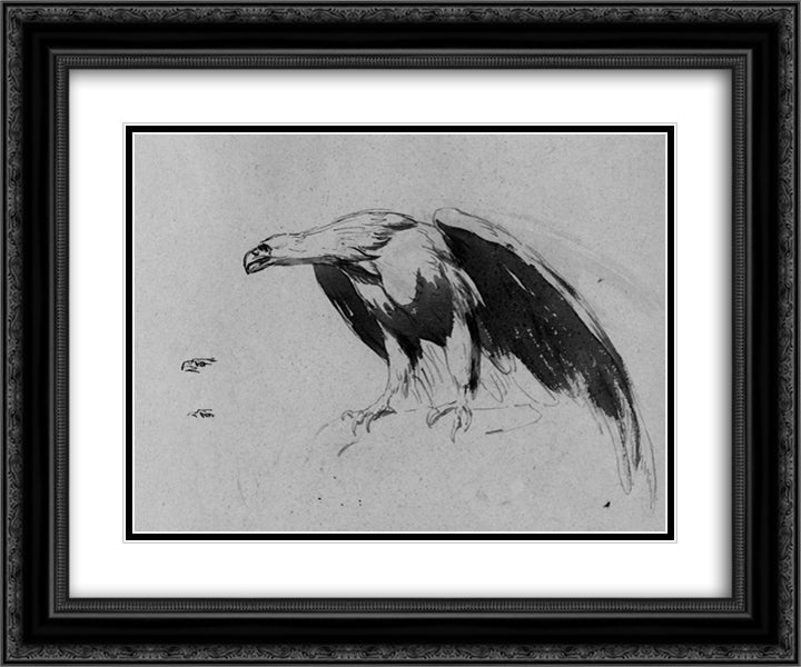 Eagle (from Sketchbook) 24x20 Black Ornate Wood Framed Art Print Poster with Double Matting by Sully, Thomas