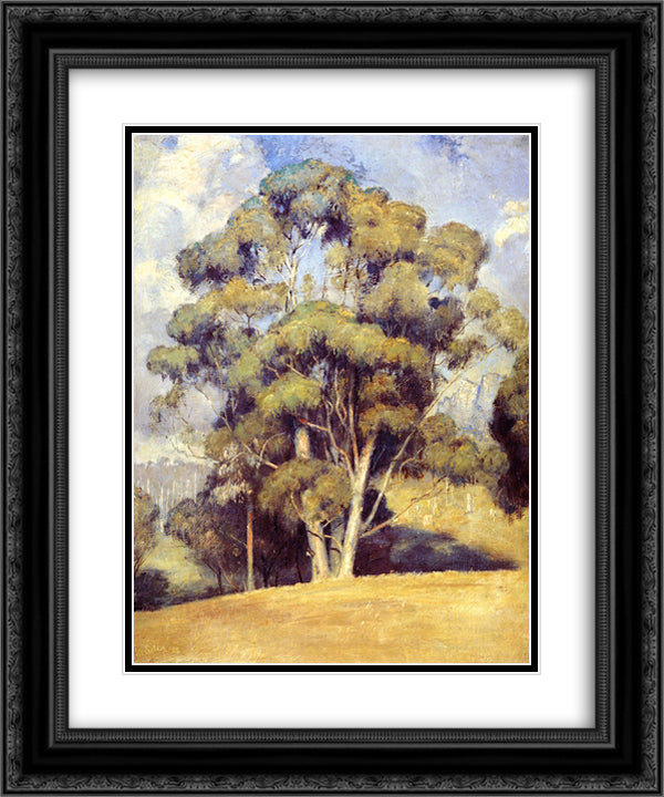 A Queen of Gums 20x24 Black Ornate Wood Framed Art Print Poster with Double Matting by Roberts, Tom