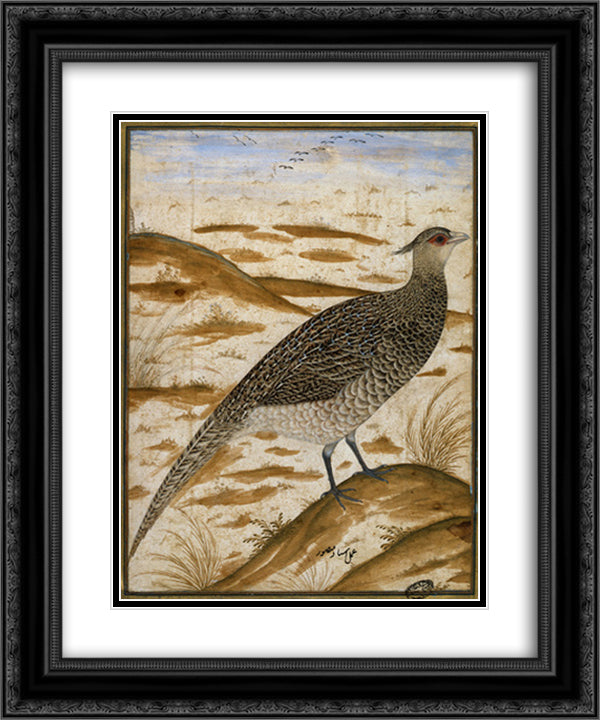 Himalayan cheer pheasant 20x24 Black Ornate Wood Framed Art Print Poster with Double Matting by Mansur, Ustad