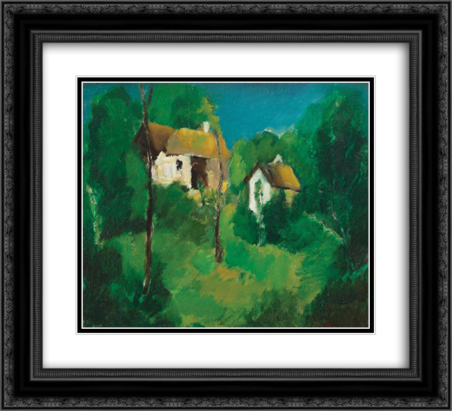 Houses in Prahova Valley 22x20 Black Ornate Wood Framed Art Print Poster with Double Matting by Popescu, Vasile