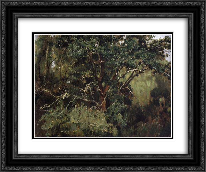 Akhtyrsky oak 24x20 Black Ornate Wood Framed Art Print Poster with Double Matting by Vasnetsov, Viktor
