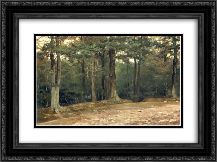 In the park 24x18 Black Ornate Wood Framed Art Print Poster with Double Matting by Vasnetsov, Viktor