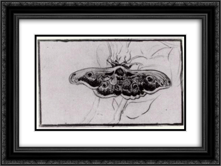 Death's Head Moth 24x18 Black Ornate Wood Framed Art Print Poster with Double Matting by Van Gogh, Vincent