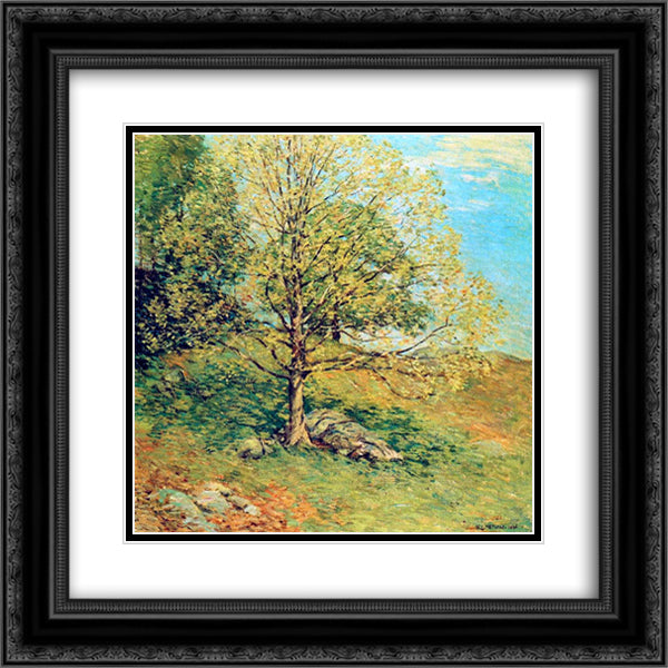 Budding Oak 20x20 Black Ornate Wood Framed Art Print Poster with Double Matting by Metcalf, Willard