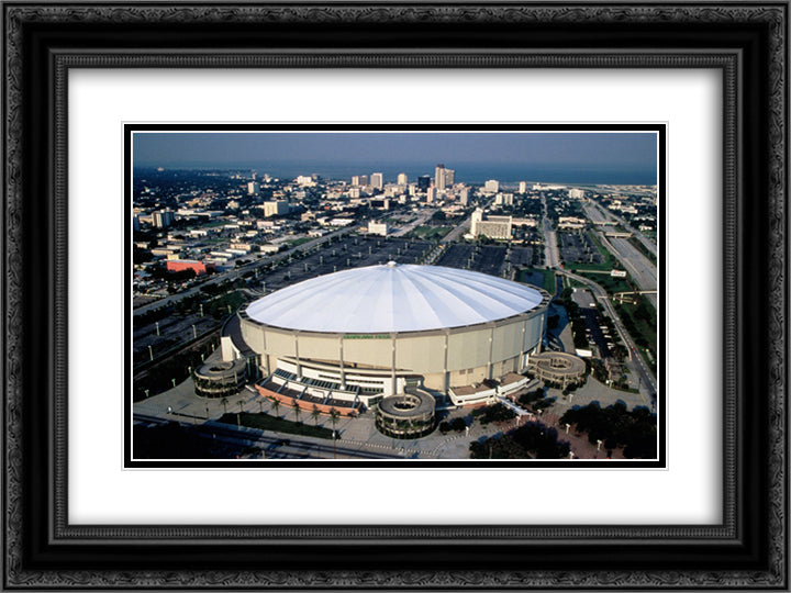 Tropicana Field 24x18 Black Ornate Wood Framed Art Print Poster with Double Matting