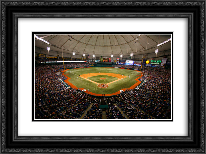 Tropicana Field 24x18 Black Ornate Wood Framed Art Print Poster with Double Matting