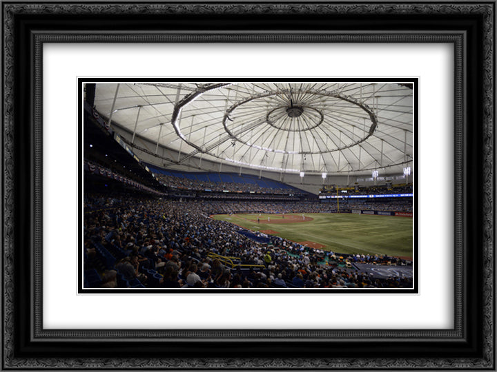 Tropicana Field 24x18 Black Ornate Wood Framed Art Print Poster with Double Matting