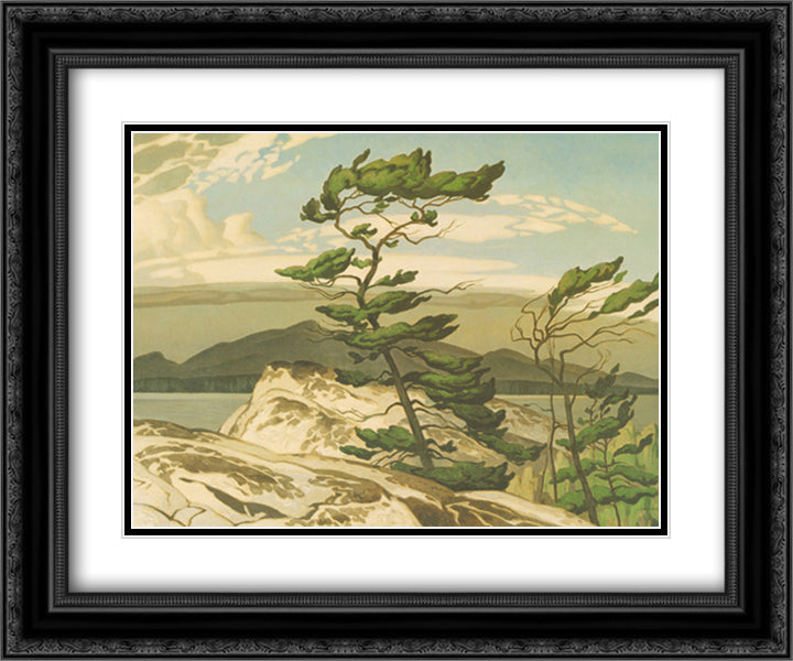 White Pine 16x14 Black Ornate Wood Framed Art Print Poster with Double Matting by Casson, A. J.