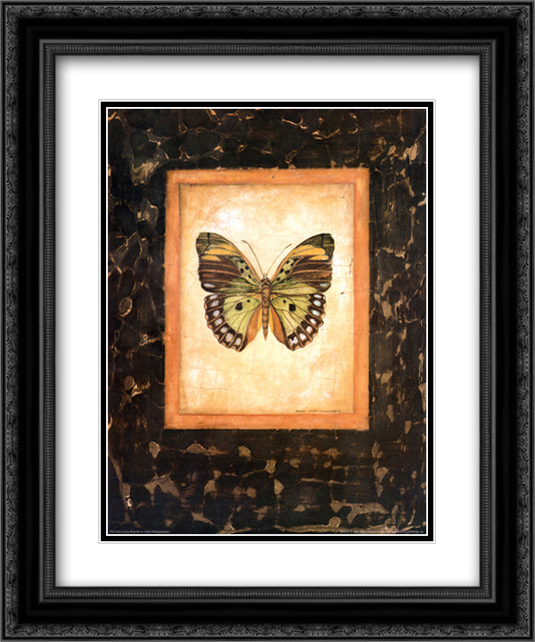 Sierra Leone Butterfly 15x18 Black Ornate Wood Framed Art Print Poster with Double Matting by Swartzendruber, Debra