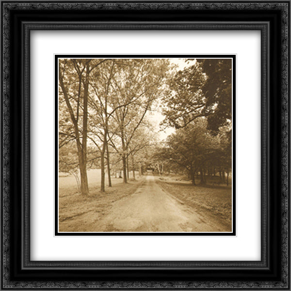 Country Road 15x18 Black Ornate Wood Framed Art Print Poster with Double Matting by Wampler, Sondra