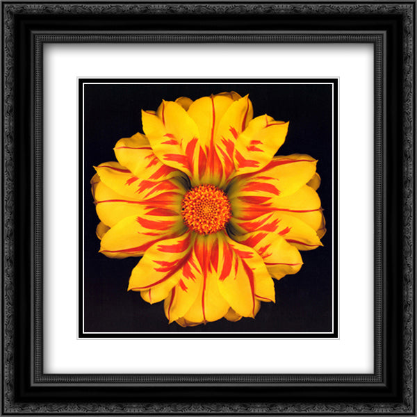 Festival 15x18 Black Ornate Wood Framed Art Print Poster with Double Matting by Feinstein