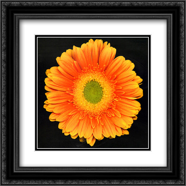 Radiance 15x18 Black Ornate Wood Framed Art Print Poster with Double Matting by Feinstein