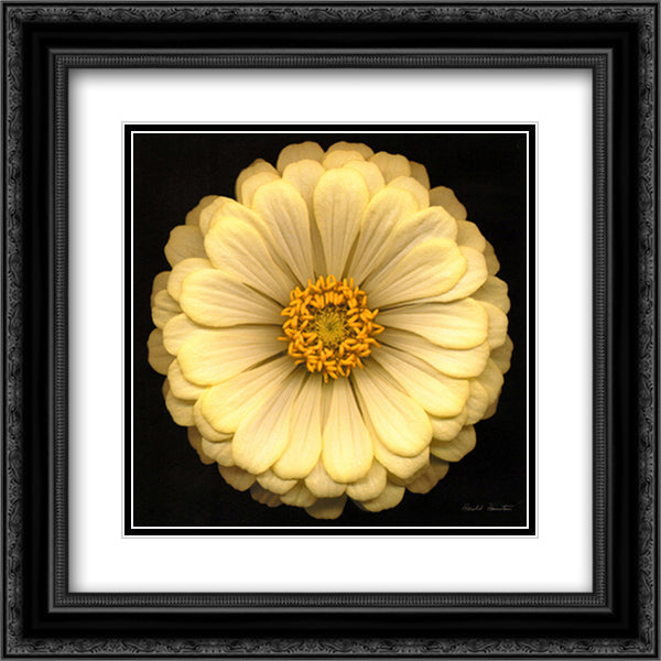 Ambiance 15x18 Black Ornate Wood Framed Art Print Poster with Double Matting by Feinstein