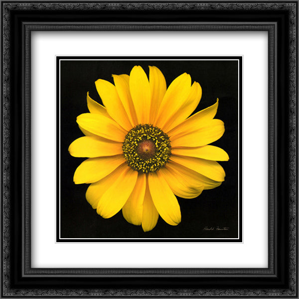 Bliss 15x18 Black Ornate Wood Framed Art Print Poster with Double Matting by Feinstein