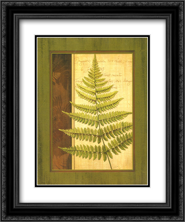 Fern Grotto I 15x18 Black Ornate Wood Framed Art Print Poster with Double Matting by Corbin, Delphine