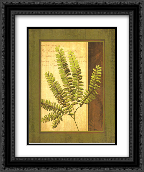 Fern Grotto II 15x18 Black Ornate Wood Framed Art Print Poster with Double Matting by Corbin, Delphine