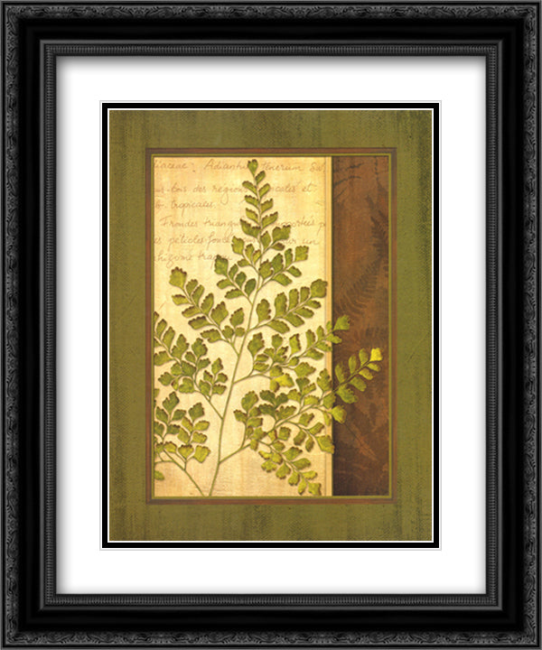 Fern Grotto IV 15x18 Black Ornate Wood Framed Art Print Poster with Double Matting by Corbin, Delphine