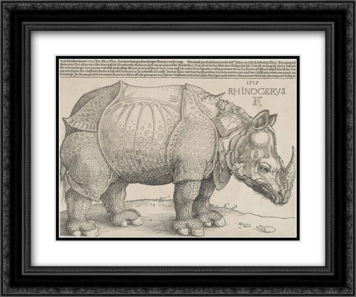 Rhinoceros 18x16 Black Ornate Wood Framed Art Print Poster with Double Matting by Durer, Albrecht