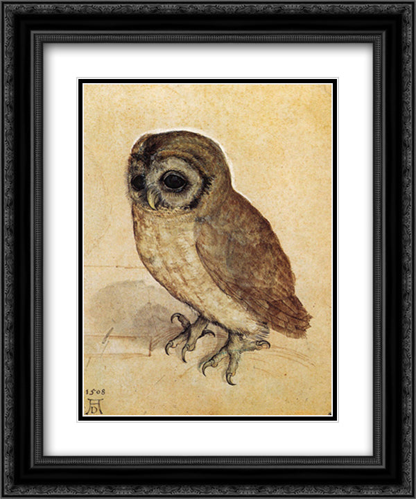 Little Owl, c.1508 12x15 Black Ornate Wood Framed Art Print Poster with Double Matting by Durer, Albrecht