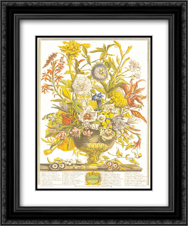 Twelve Months of Flowers, 1730/September 14x16 Black Ornate Wood Framed Art Print Poster with Double Matting by Furber, Robert