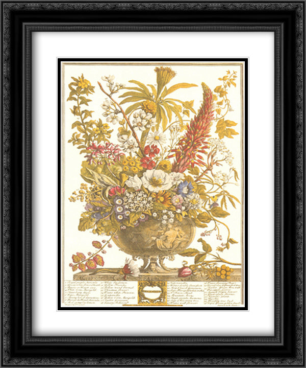 Twelve Months of Flowers, 1730/December 13x16 Black Ornate Wood Framed Art Print Poster with Double Matting by Furber, Robert