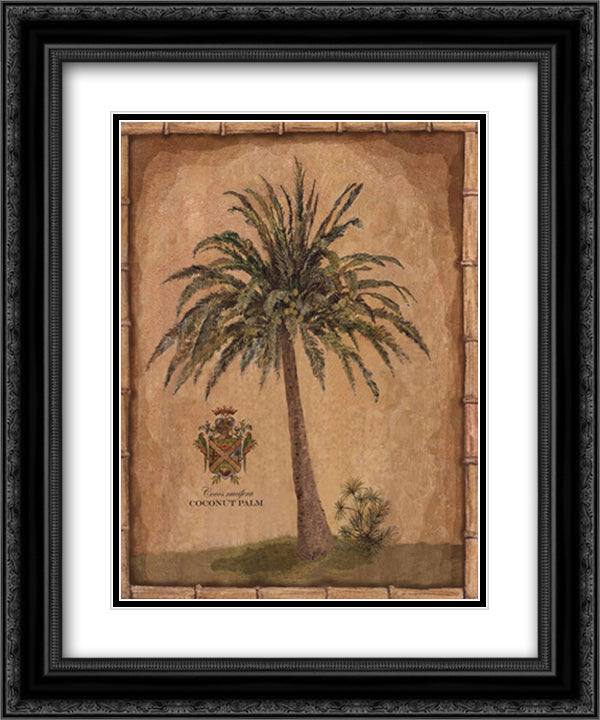 Caribbean Palm III With Bamboo Border 15x18 Black Ornate Wood Framed Art Print Poster with Double Matting by Whiteaker, Betty