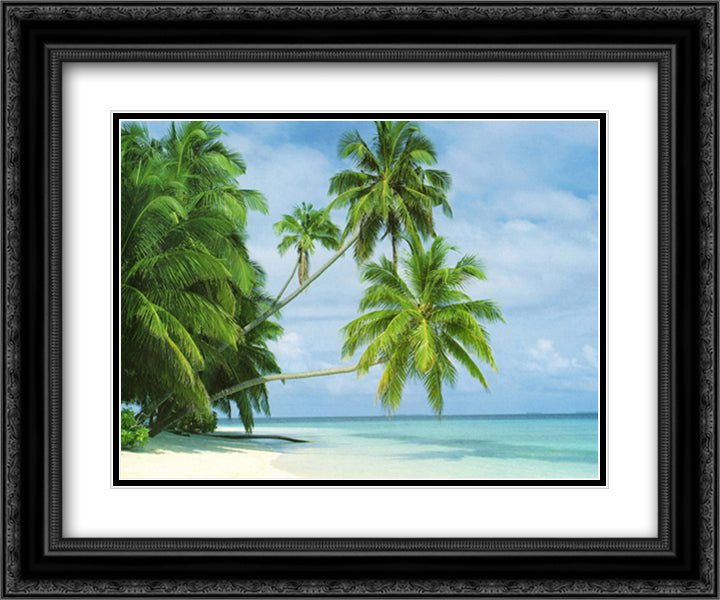 Fihalhohi Island 15x18 Black Ornate Wood Framed Art Print Poster with Double Matting