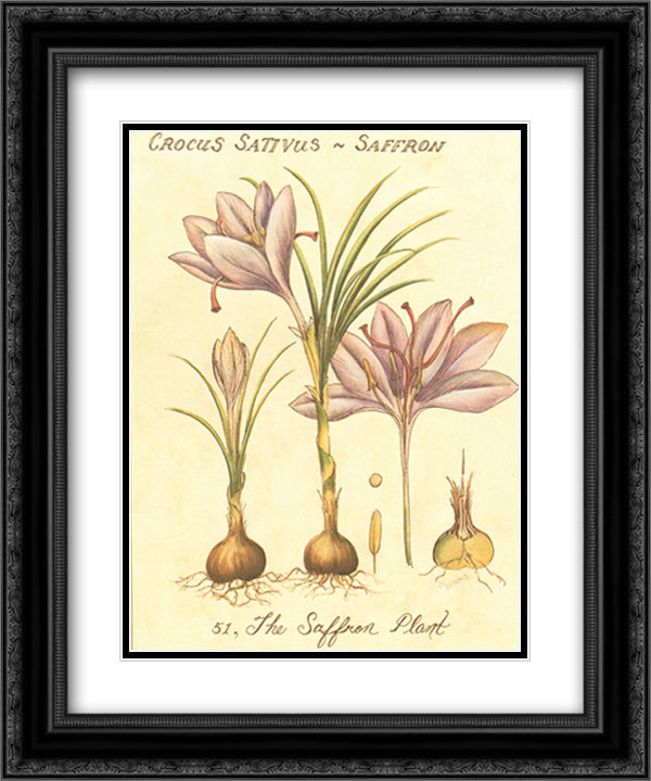 Global Spices III 15x18 Black Ornate Wood Framed Art Print Poster with Double Matting by Brooks, Janice M.