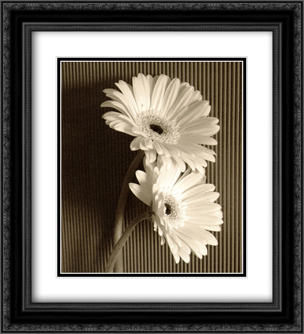 Fresh Cut Gerbera Daisy I 15x18 Black Ornate Wood Framed Art Print Poster with Double Matting by Van Swearingen