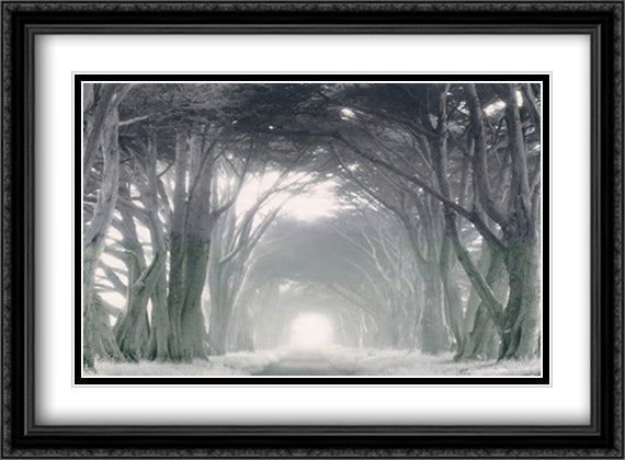 Into the Light 40x28 Black Ornate Wood Framed Art Print Poster with Double Matting by Holland, Edward