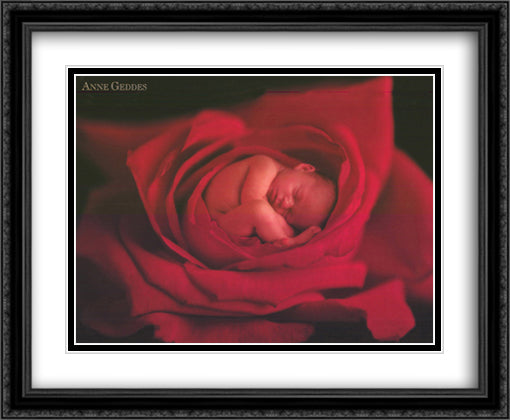 Jake In Red Rose 28x36 Black Ornate Wood Framed Art Print Poster with Double Matting by Geddes, Anne