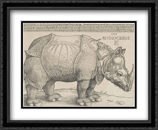 Rhinoceros 34x28 Black Ornate Wood Framed Art Print Poster with Double Matting by Durer, Albrecht