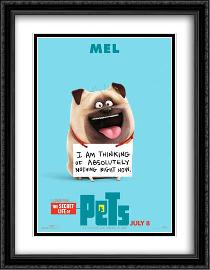 The Secret Life of Pets 28x36 Black Ornate Wood Framed Movie Poster with Double Matting