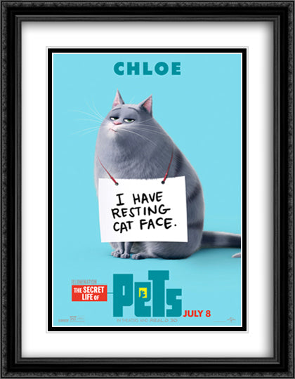 The Secret Life of Pets 28x36 Black Ornate Wood Framed Movie Poster with Double Matting