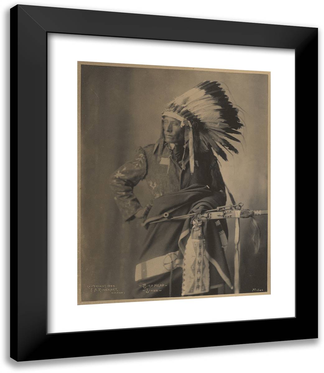 Bird Head, Sioux 20x23 Black Modern Wood Framed Art Print Poster by Muhr, Adolph F.